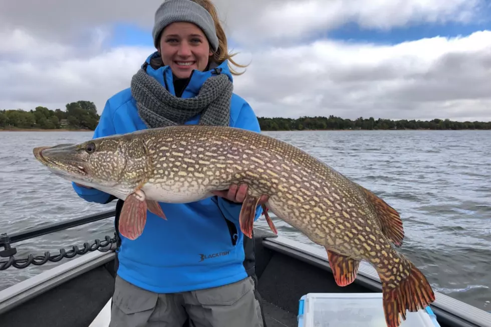 Brand New Record Established For Catch and Release in Minnesota