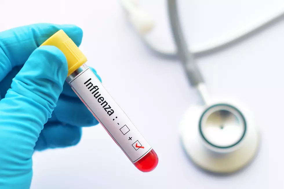 Minnesota Health Officials Report Season&#8217;s First Child Flu Death
