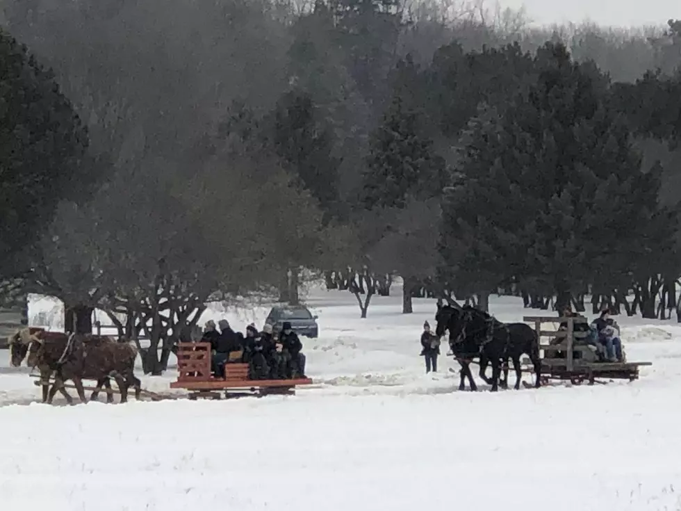 A Great Day For a Sleigh Ride in Rochester!