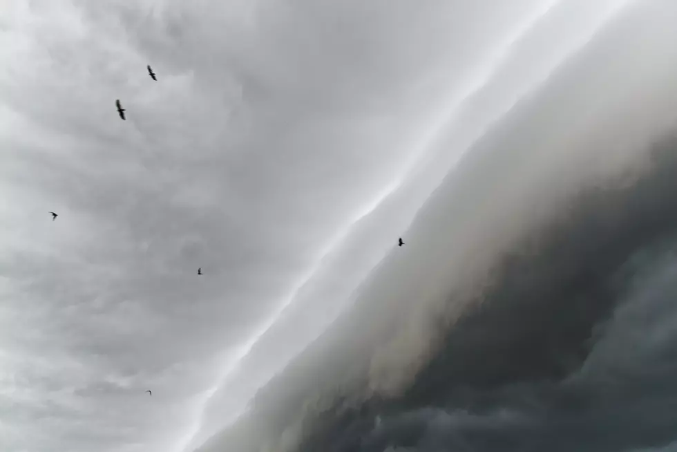 Those Aren’t Storms Over Minnesota and Iowa On The NWS Doppler Radar – Those Are Birds