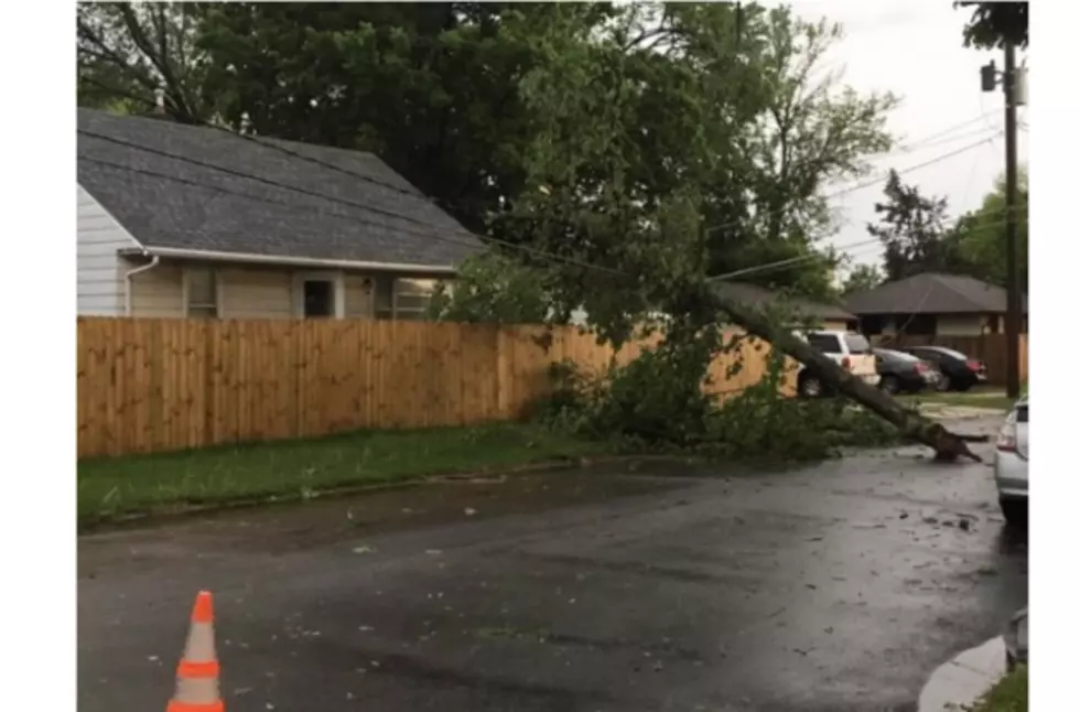 SW Rochester Hit Hardest by Tuesday’s Storm