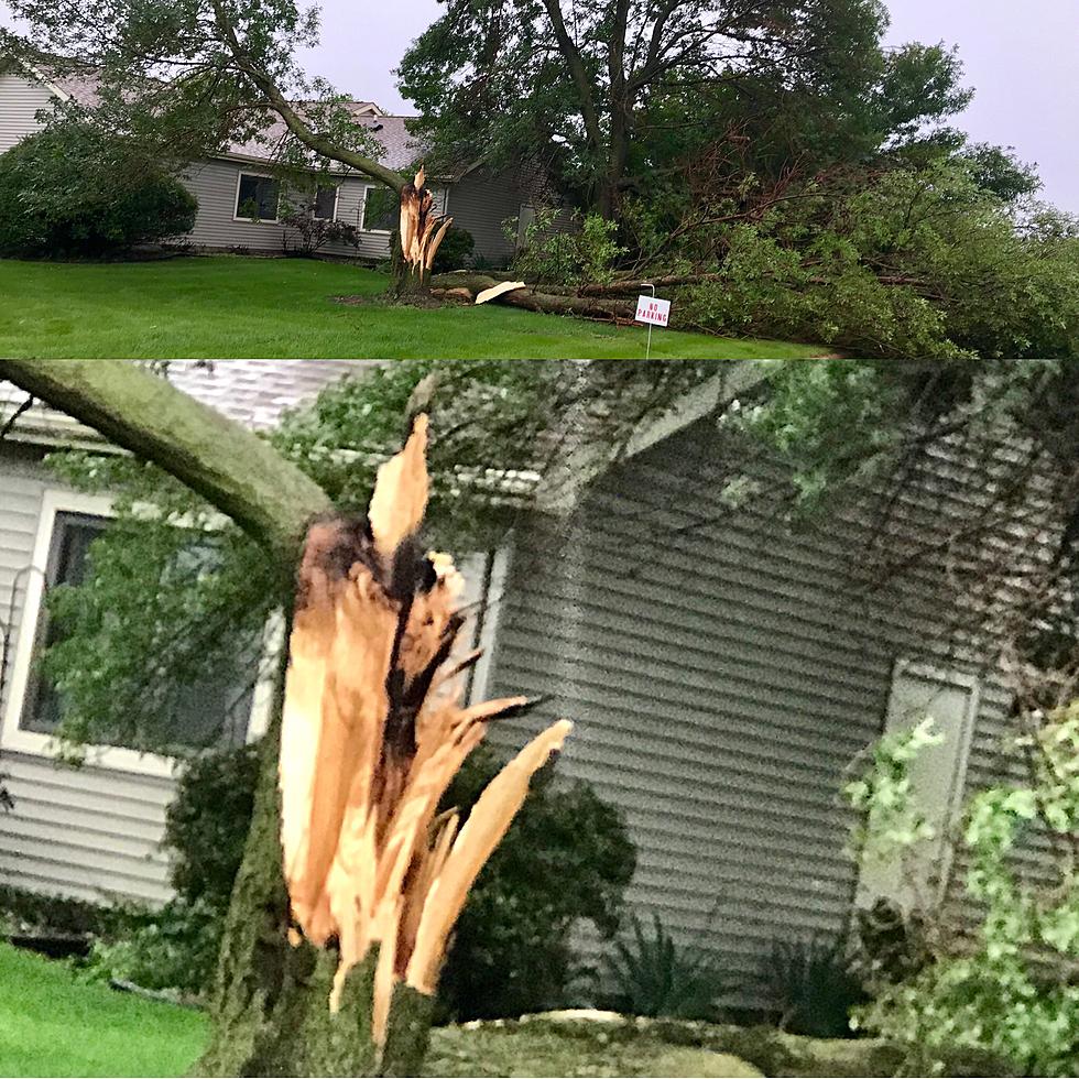 Saturday's Storms Knock Down Trees, Cause Power Outages