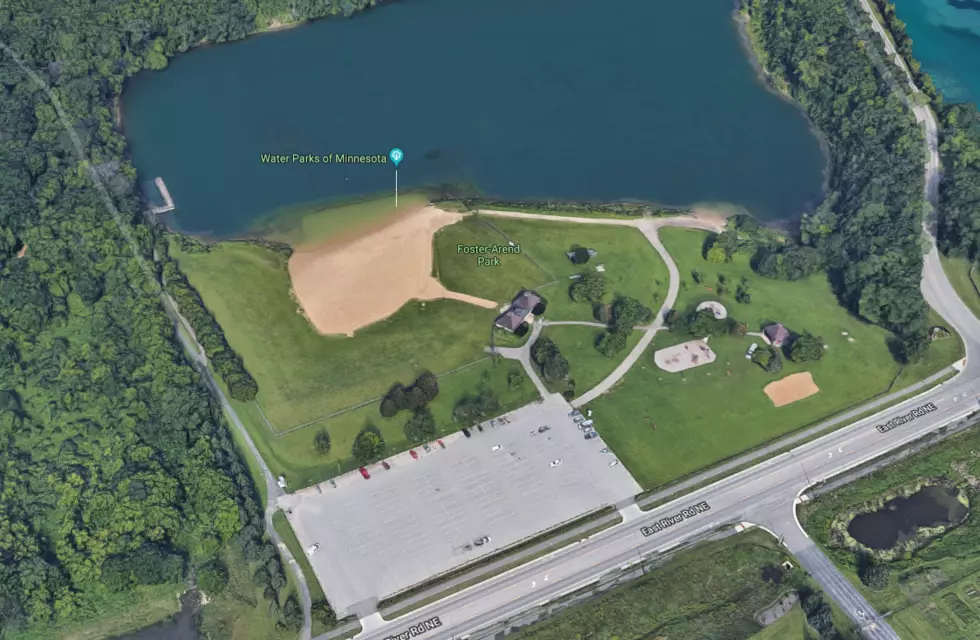 Dog Dies After Swimming in Rochester’s Foster-Arend Pond
