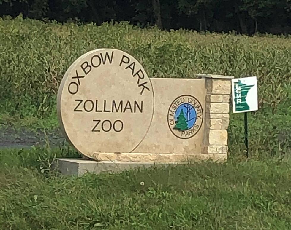 Zoodazzle at Oxbow Park & Zollman Zoo in Byron is Officially Canceled for 2020