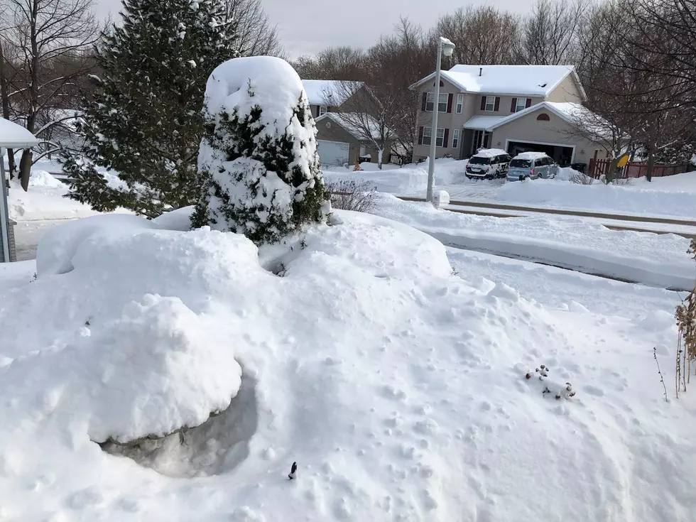 Storm Dumps More Than A Foot of Snow in Southern Minnesota