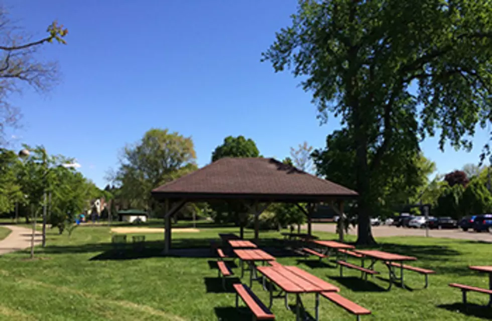 Waste Bins/Dumpsters Being  Removed From Rochester Parks