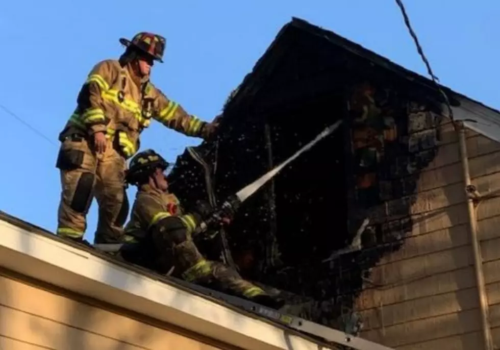 Cat Rescued After Fire Heavily Damaged Rochester Home