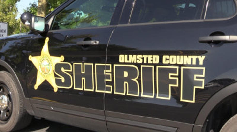 Olmsted County Deputy Injured in Scuffle With Rochester Teenager