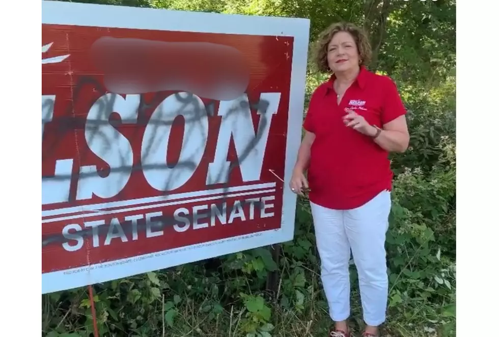 Rochester Legislator Responds to Campaign Sign Vandalism