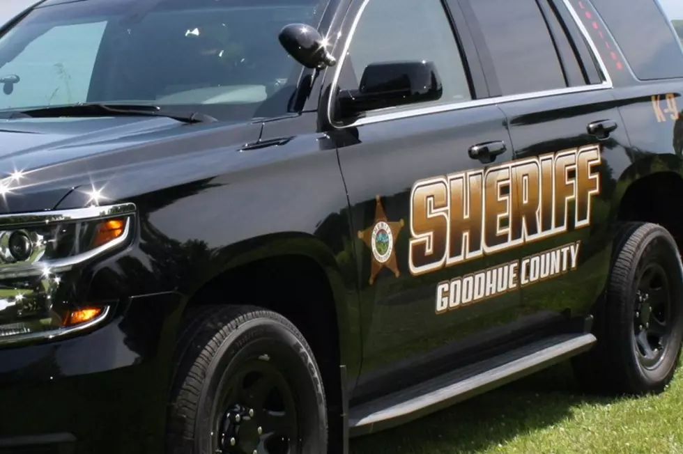 The Best Stories From Goodhue County’s Sheriff’s Office Weekly Report