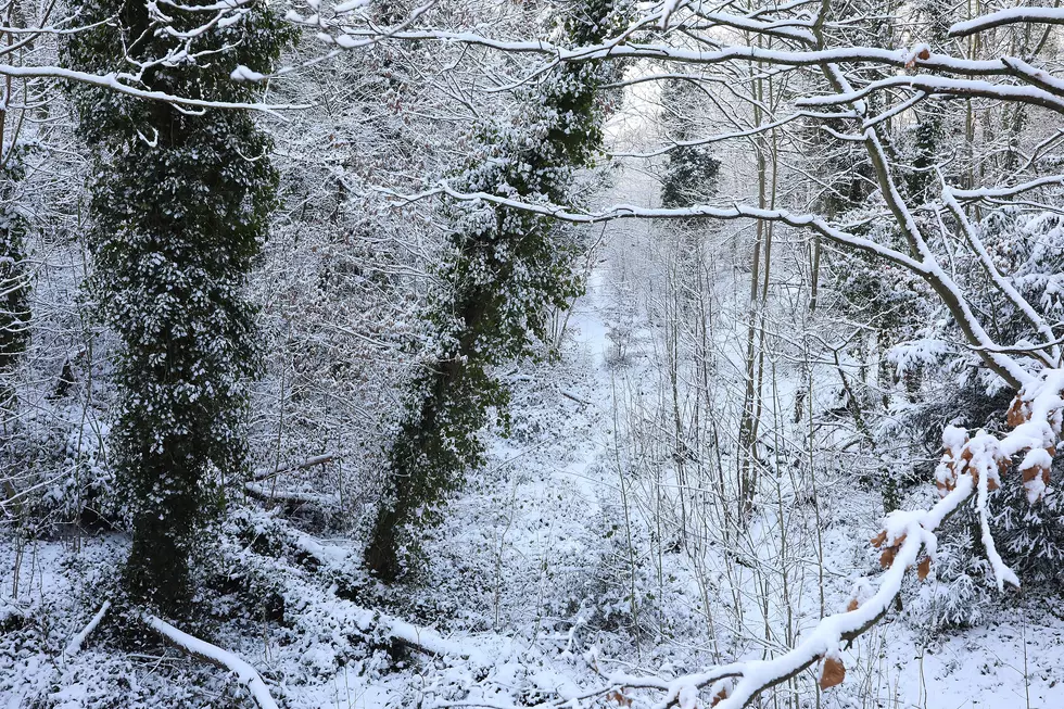 Man Rescued During Northern Minnesota Snowstorm