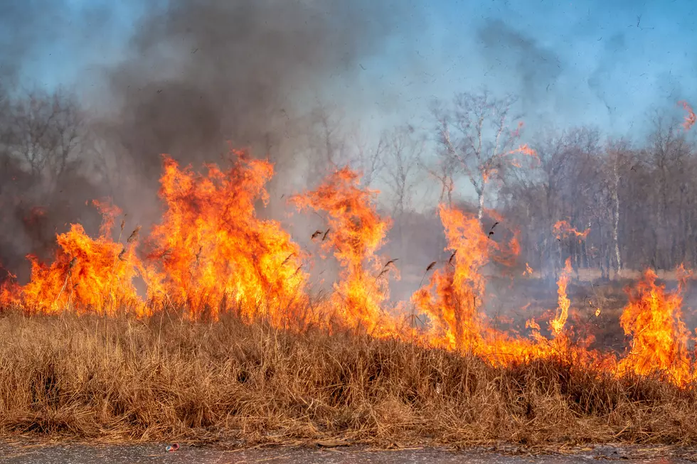 MN & Wisconsin Firefighters Battled Large Grassfire Near Wabasha