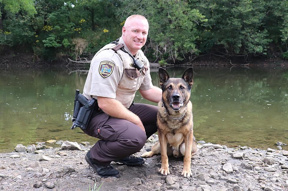 Olmsted County Sheriff’s Office Loses Veteran K9 Deputy