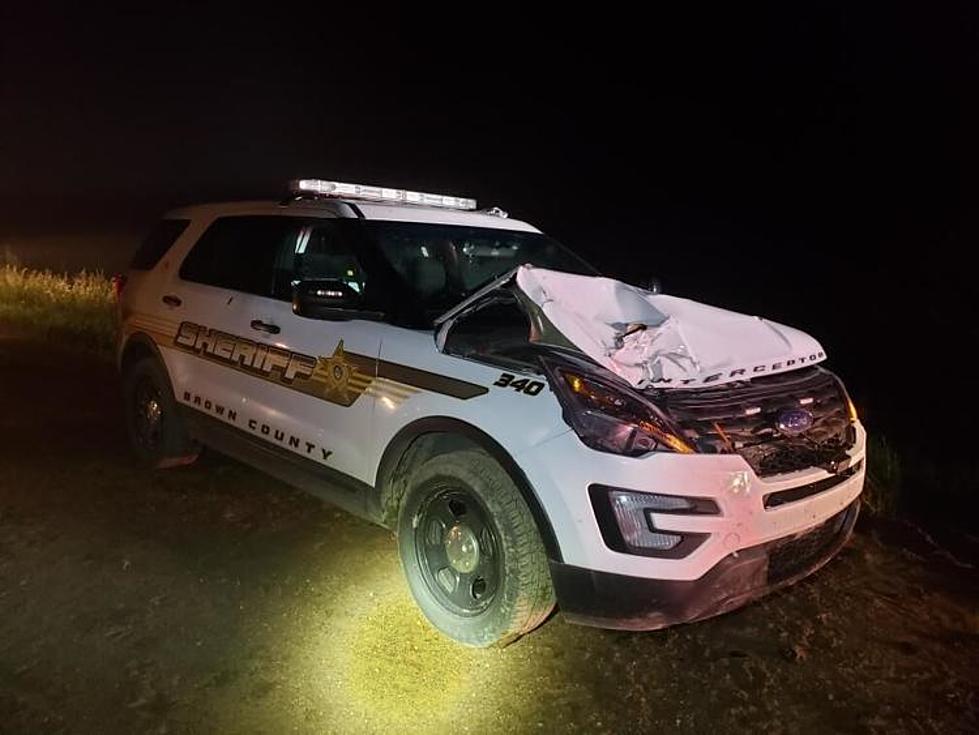 Southern Minnesota Deputy Hurt After His Vehicle Hit Some Cattle