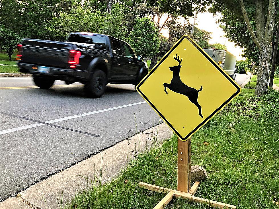 Here&#8217;s Why Minnesota Is No Longer Installing Deer Crossing Signs