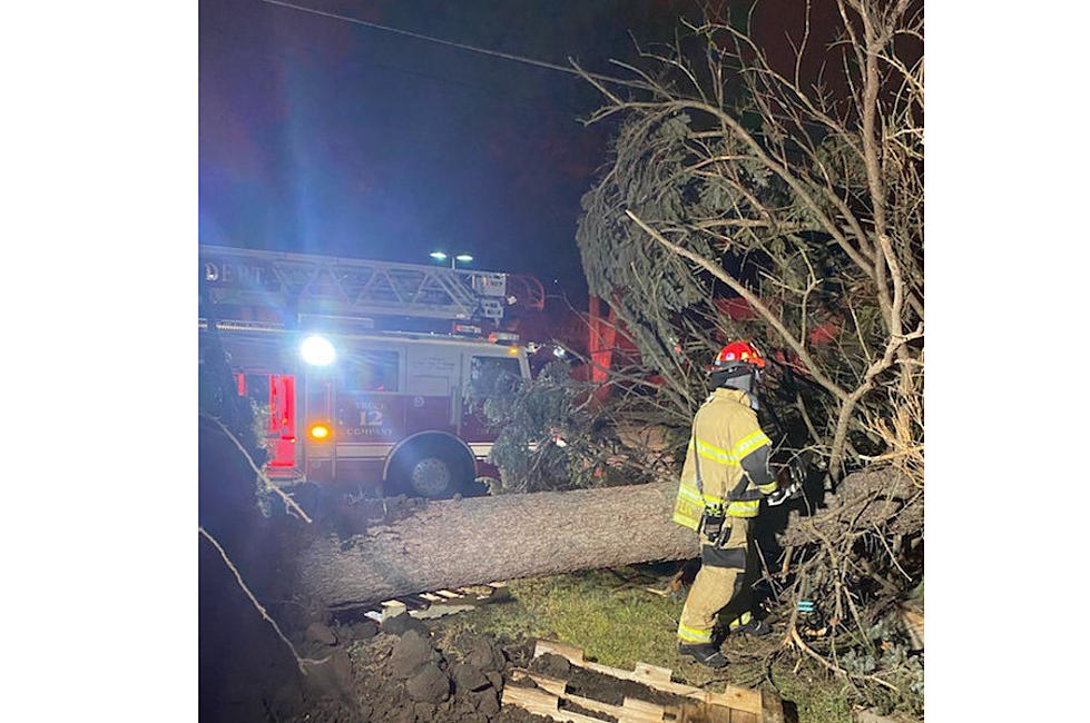 Rochester Firefighters Rescue Homeowner Who Was Trapped By A Tree