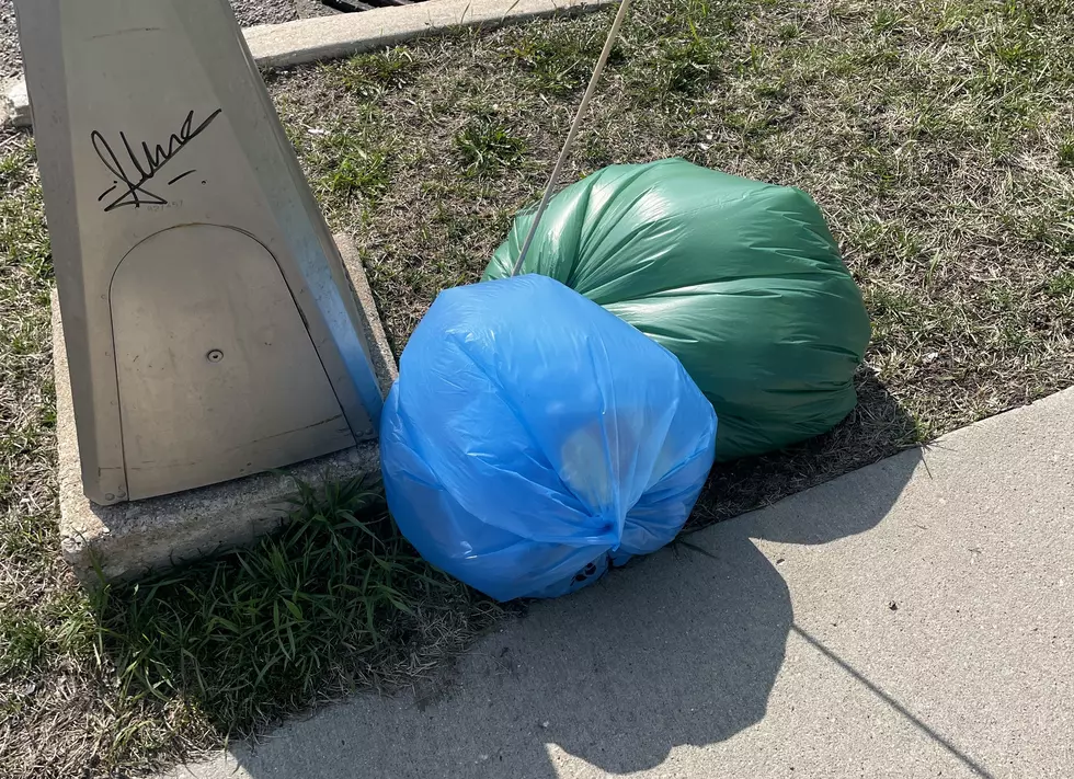 Adopt-a-Highway Volunteers Fill Over 29,000 Trash Bags in Minnesota