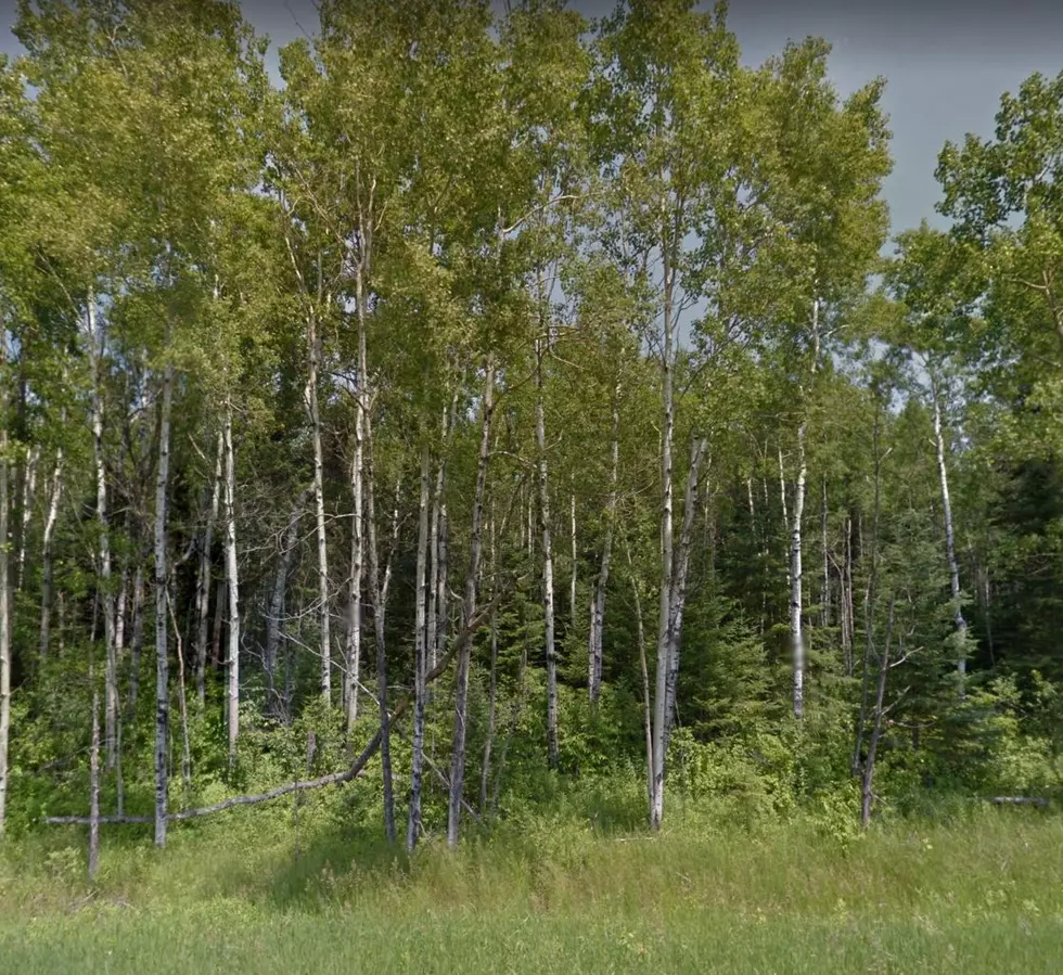Hunter Lost in Minnesota Woods Located