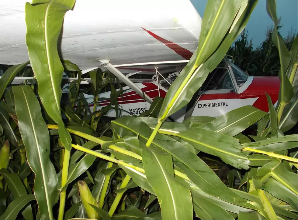 No Injuries Reported After Rough Crash Landing in Minnesota Field