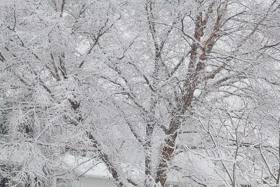 April Fools Blizzard Was No Joke For Many Minnesotans