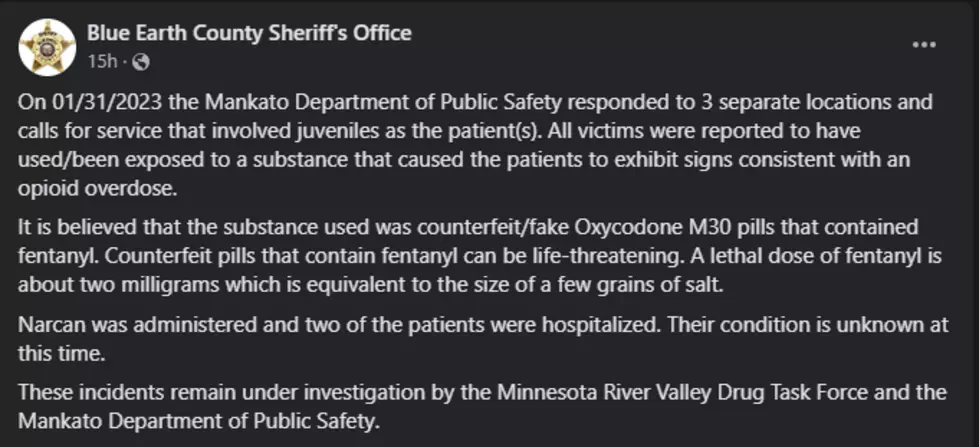 Facebook/Blue Earth County Sheriff's Office