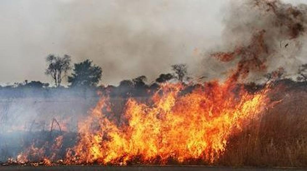 Minnesota Grass Fire Being Investigated as Arson