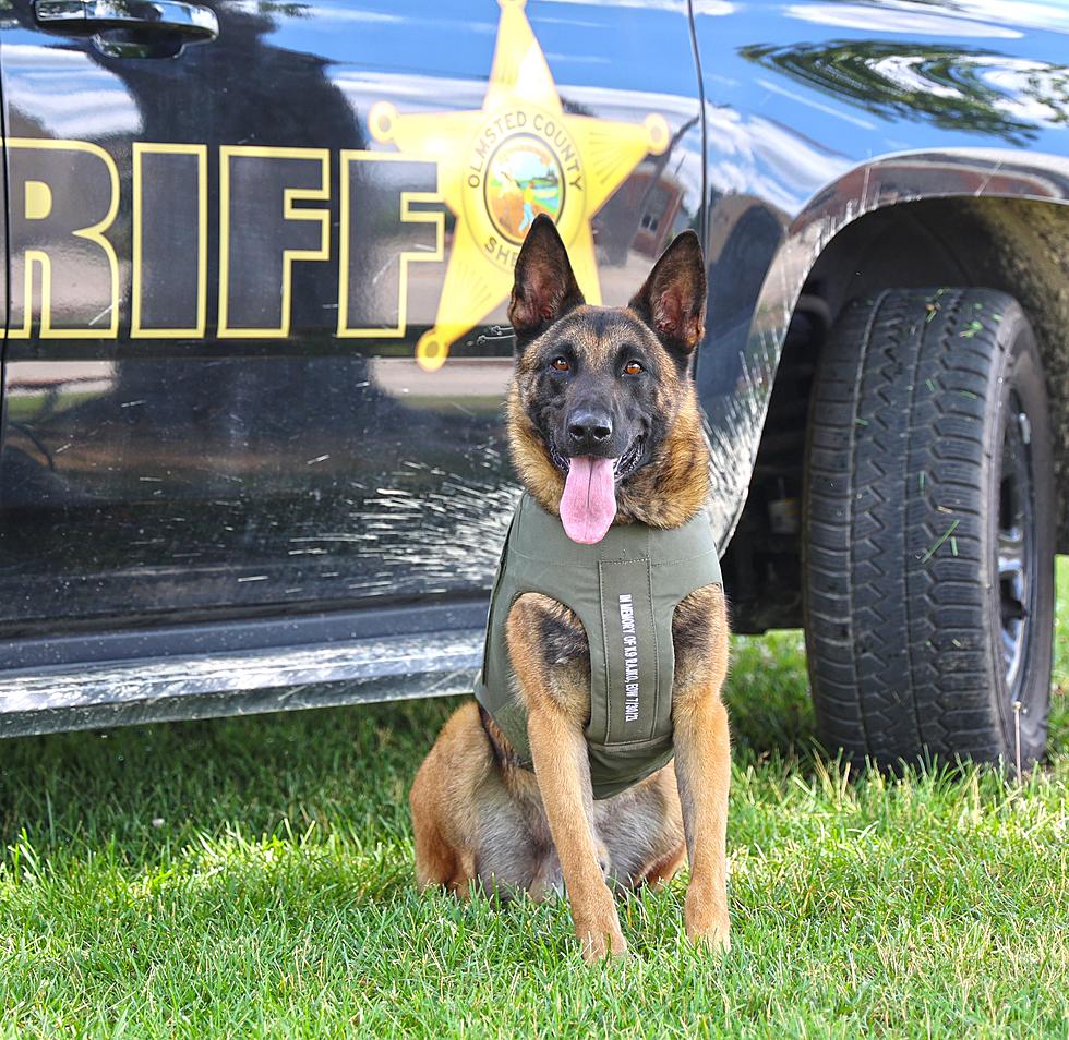 Olmsted County Mourning Loss of Young K-9