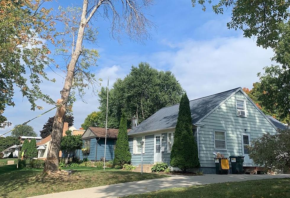 Tree Removal Incident Prompts Rochester Fire Dept. Response
