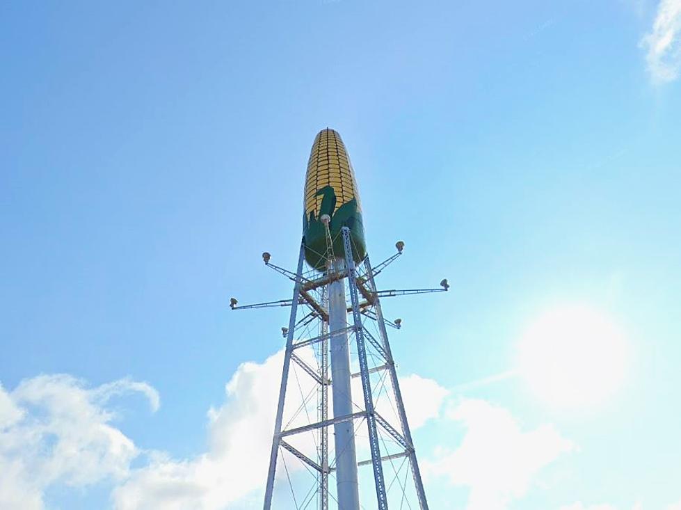 Public Hearings Monday on Rochester’s Iconic Water Tower & More