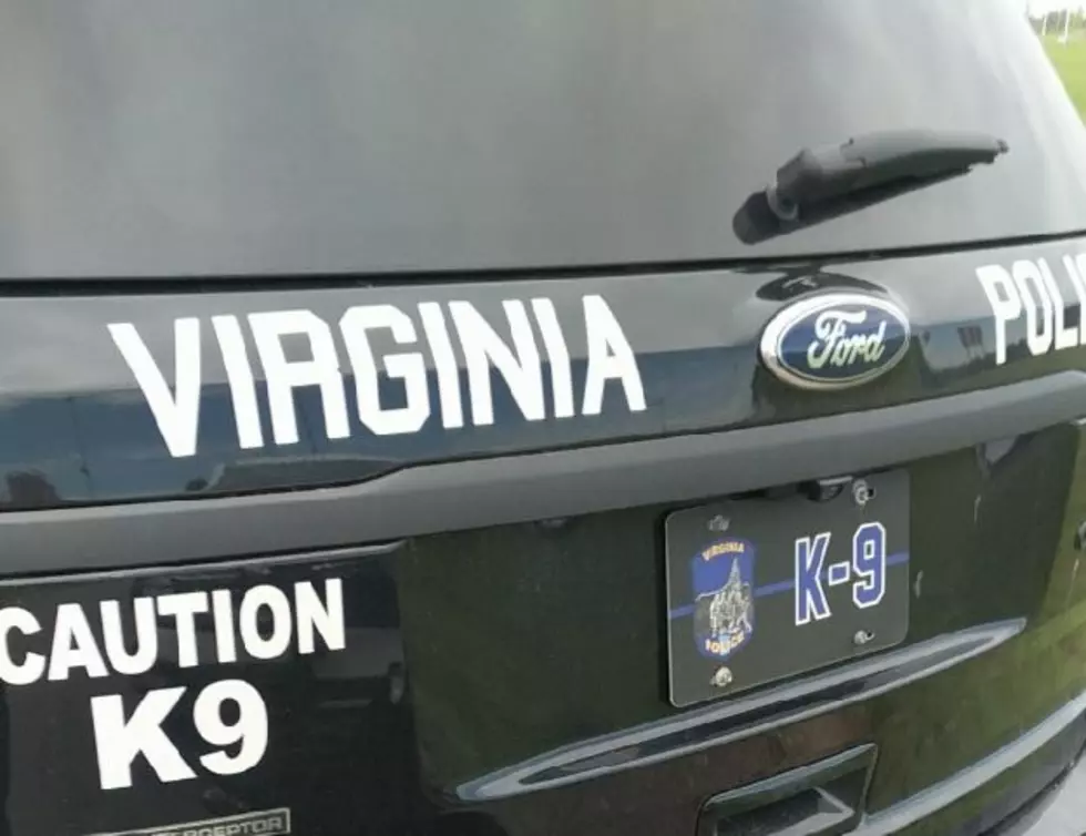 Virginia Police Dept. photo