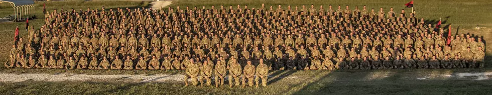 34th Red Bull Infantry Division