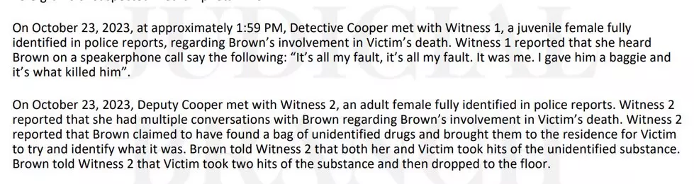Brown criminal complaint - Olmsted County Court-