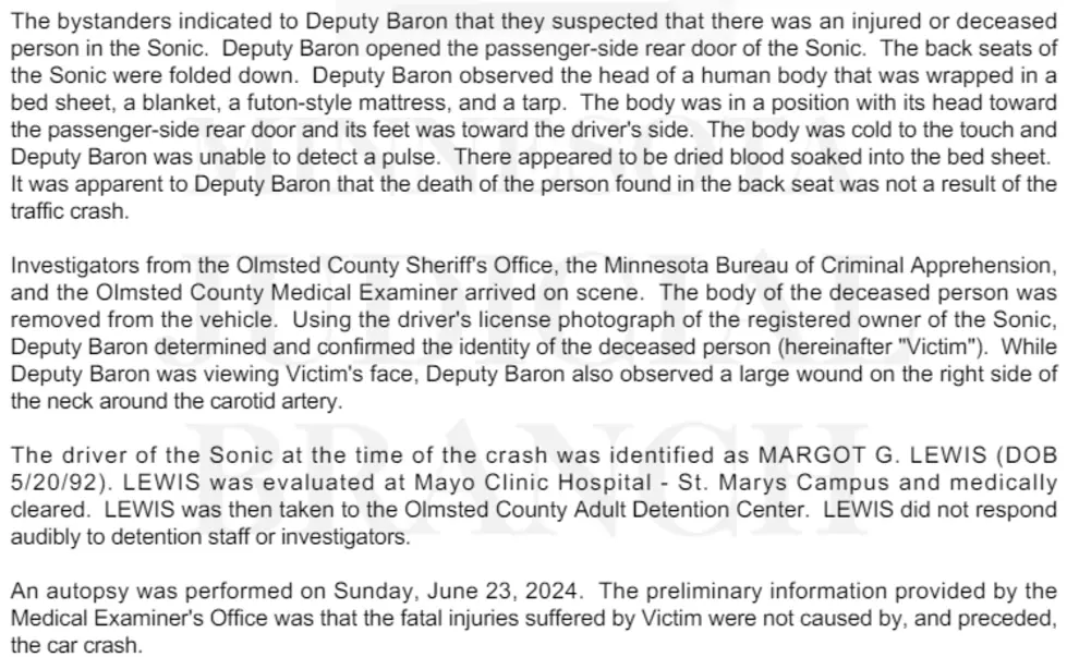 Lewis Complaint. Olmsted County Court