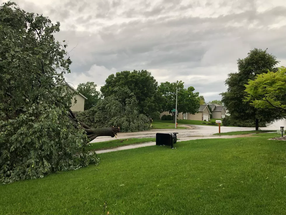 Severe Thunderstorm Downs Trees, Knocks out Power in Southeast Minnesota