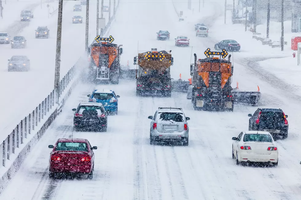 Tree Lined-up Snowplows Clearing the Highway