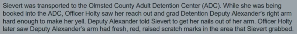 Sievert complaint. Olmsted County Court