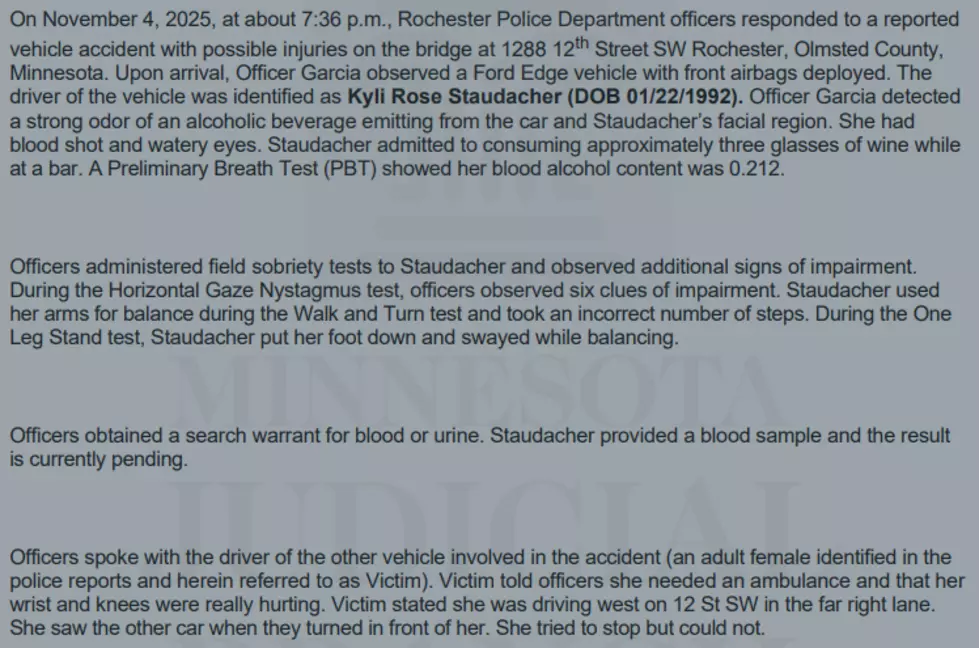 Staudacher complaint. Olmsted County Court