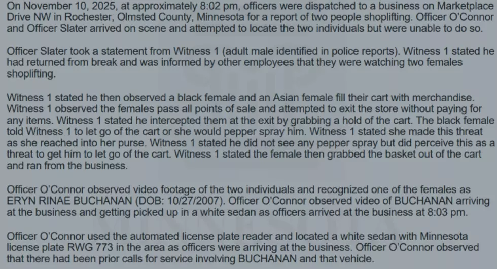 Buchanan complaint. Olmsted County Court