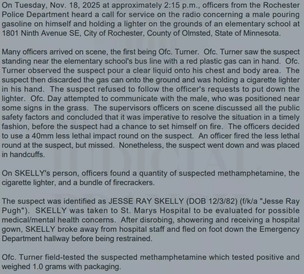 Skelly complaint. Olmsted County Court