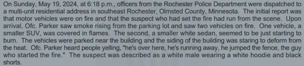 Hofbauer complaint. Olmsted County Court