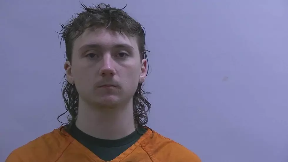 Leff. Mower County Jail roster