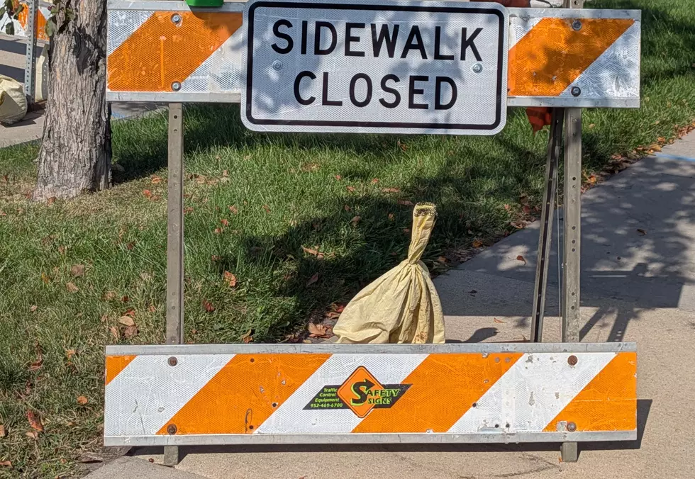 Photo by Andy Brownell TSM Rochester