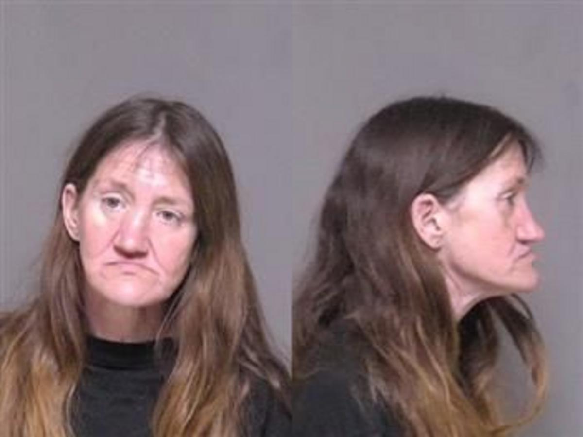 Rochester Woman Pleads Guilty to 2 Arson Fires Rochester Woman Pleads Guilty to 2 Arson Fires