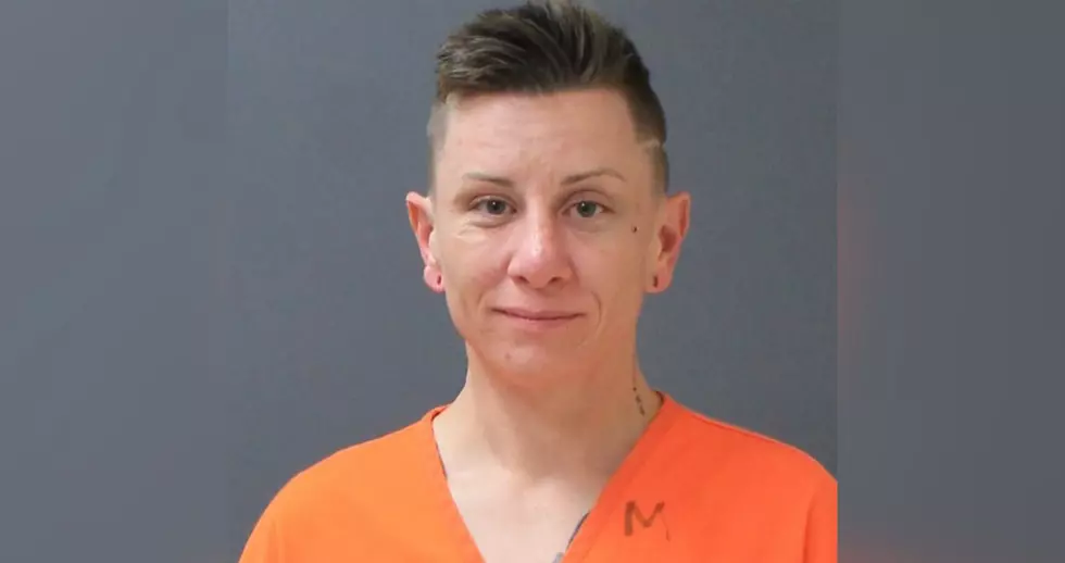 Dog Watcher Gets Prison Sentence for $7400 Rochester Home Theft