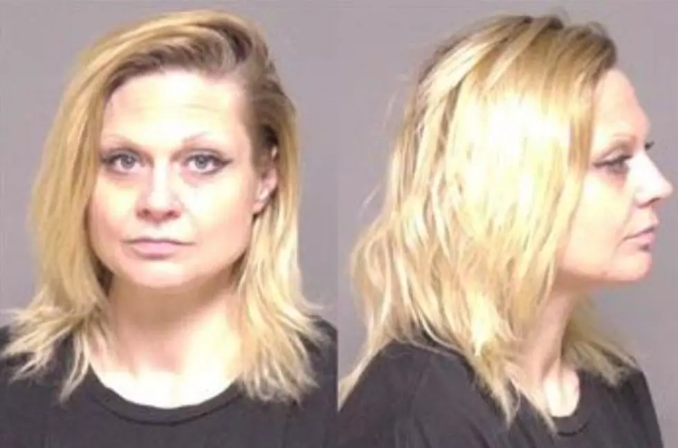 Felony Drug Conviction Tied to Traffic Stop Near Stewartville