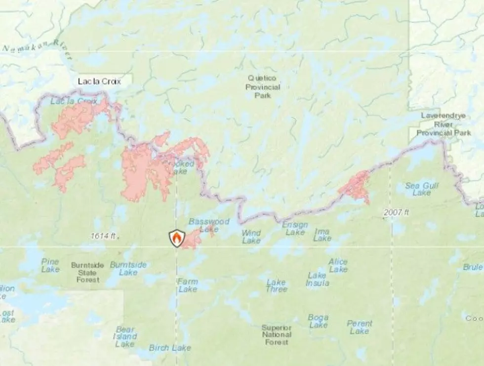 Minnesota Incident Command System