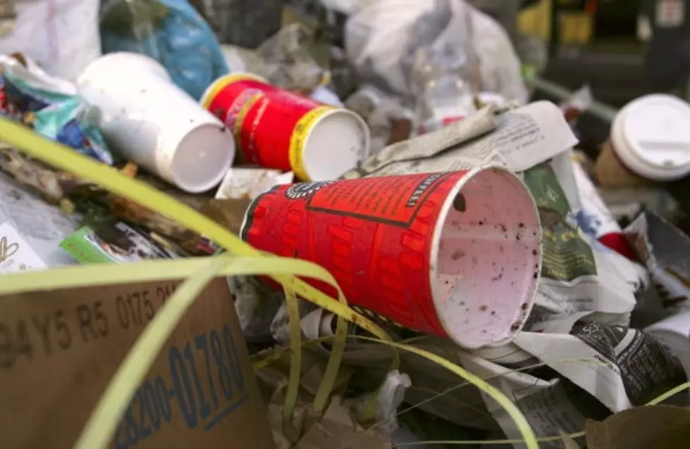 Minnesota Company Cited For Illegal Trash Dumping