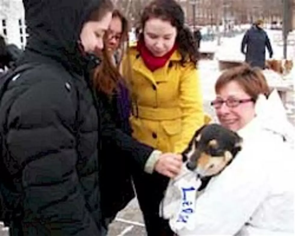 Macalester Students Hug Dogs Before Final Exams