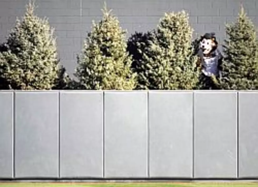 Twins To Take Down Trees Behind Centerfield At Target Center