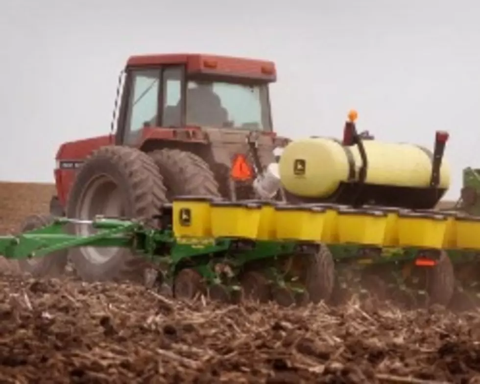 Minnesota Farmers Use Break In Weather To Speed Planting